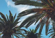 De verduurzaming van de voedselindustrie