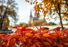 Keulen verkennen: cultuur, geschiedenis en romantiek aan de rijn